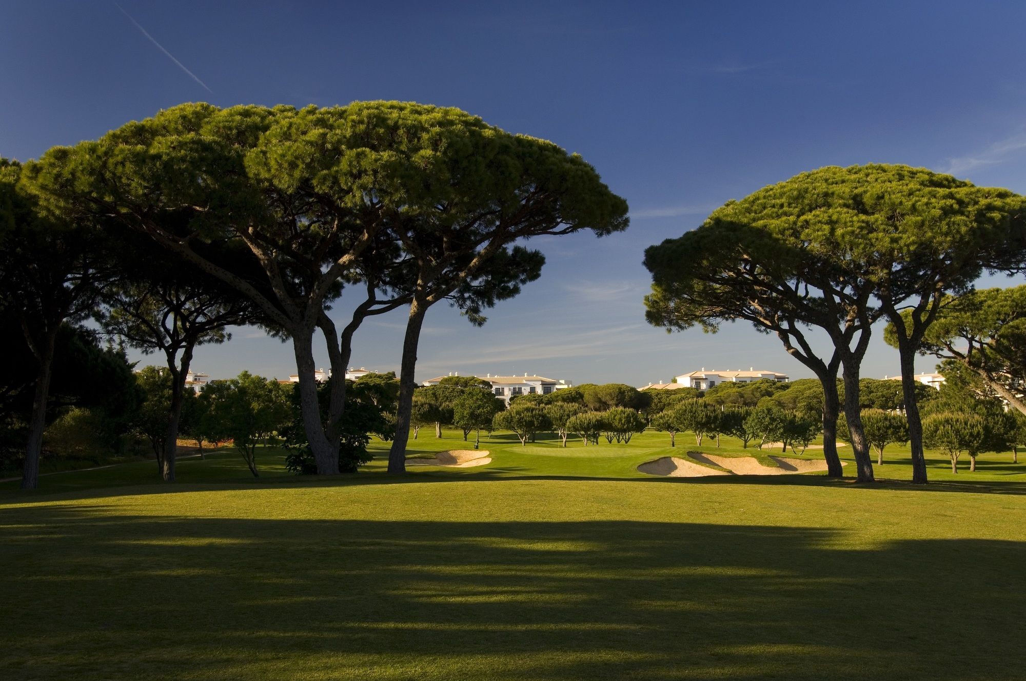 Hotel Pine Cliffs Gardens Albufeira Esterno foto
